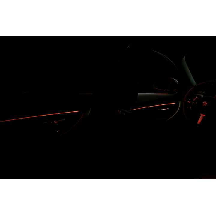 Nakładki Ambient BimmerLux BMW F30/F31